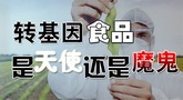 D(zhun)ʳƷħ
