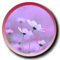 NO.014 ̋](zhn)??yn)?/></a><p><b>NO.014 </b>̋](zhn)??yn)?/li>
<li><a href=