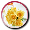 NO.031 miǰĲ׃̖