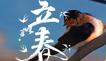 r(sh)(ji)ԓ협(yng)r(sh)(ji)B(yng)